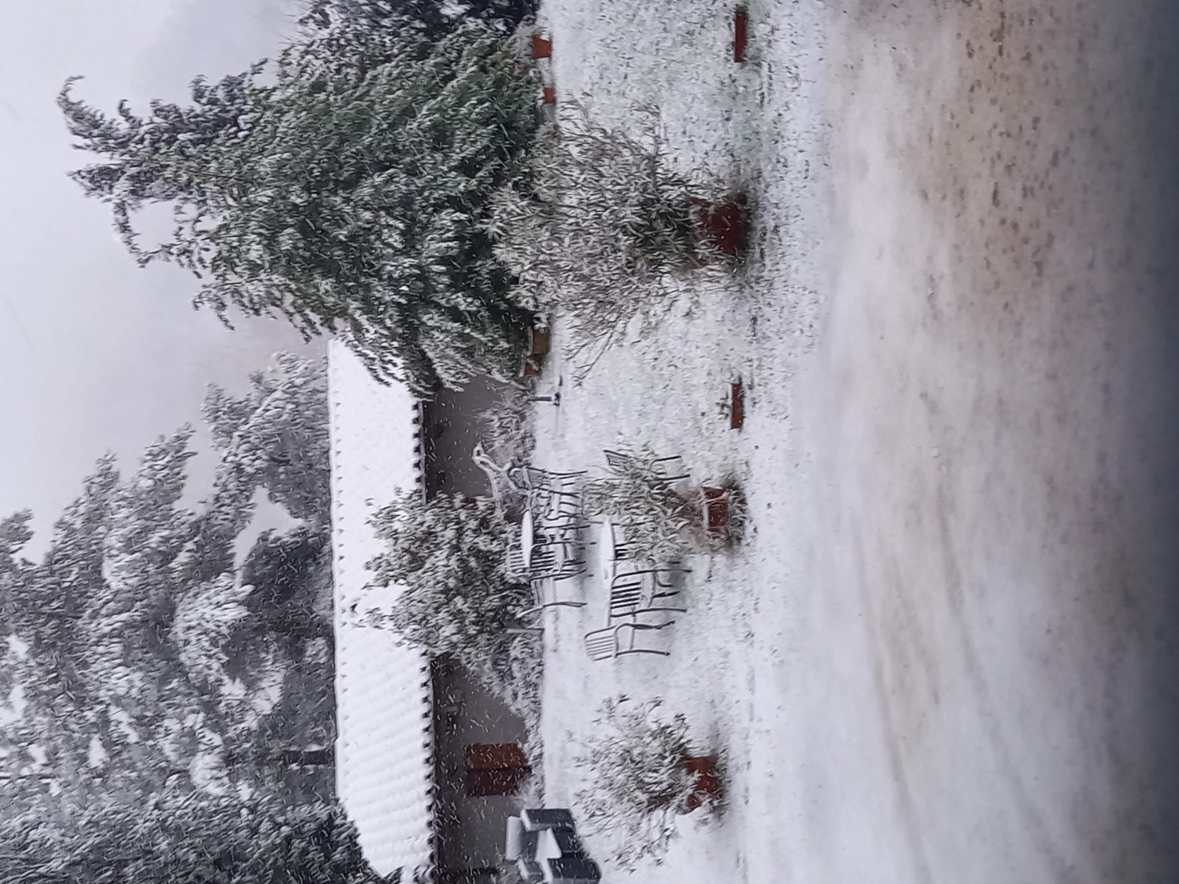 mainardisnc-neve