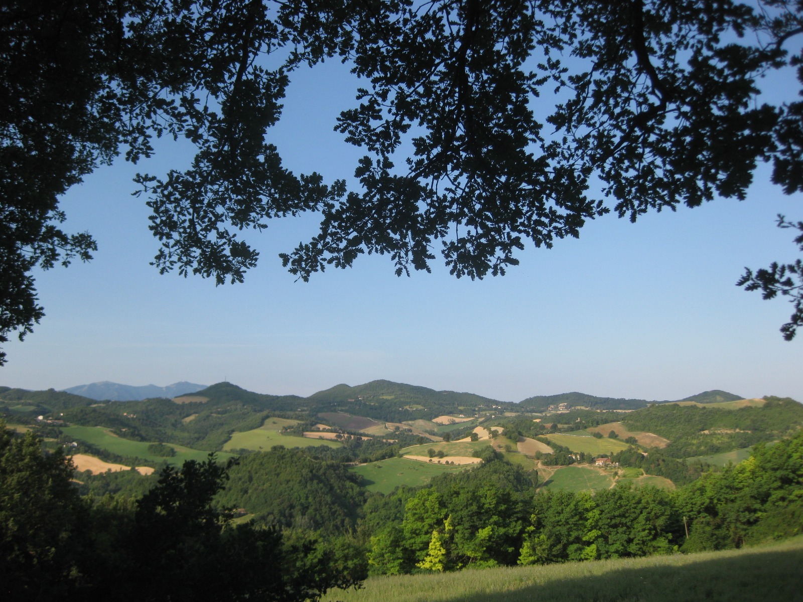 paesaggio4